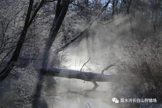 救援帅男孩