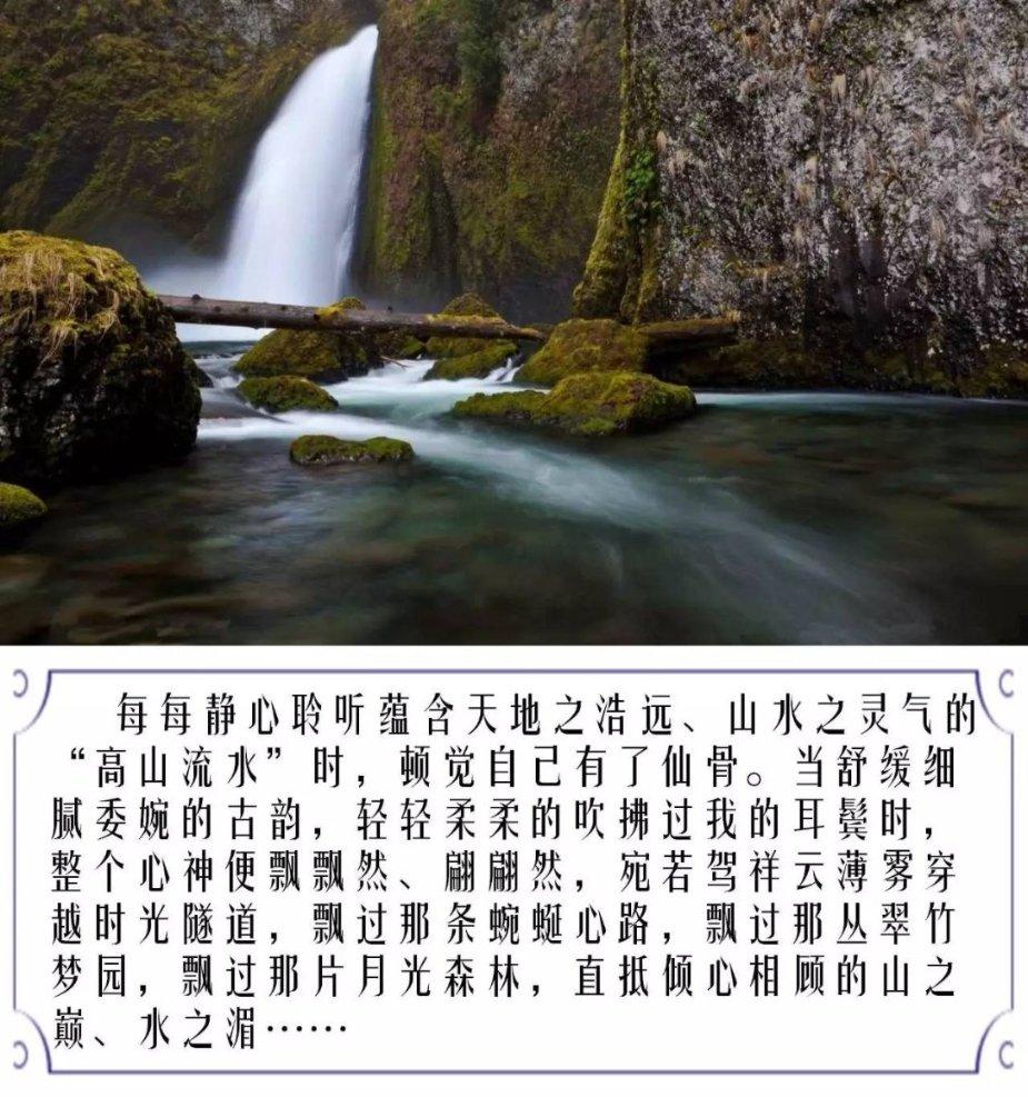 一级运动员能降30分录取！国内马术名校2024马术本科单招最多20名！